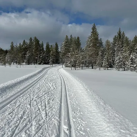 Деревянный коттедж Angie *
