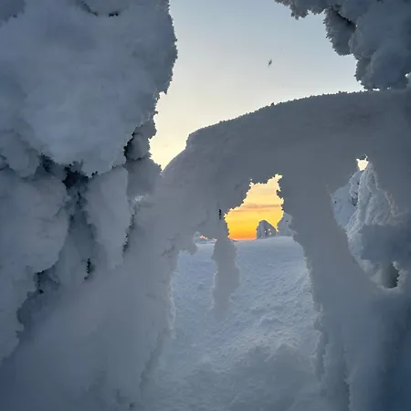 Деревянный коттедж Angie Рука