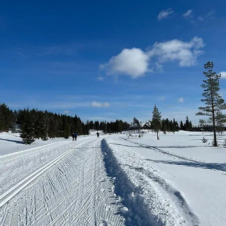 Angie Деревянный коттедж