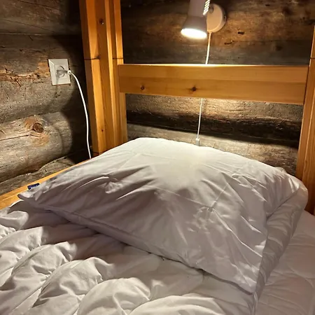 Villaangie Lodget Ruka