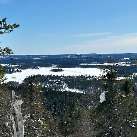 Деревянный коттедж Angie Рука